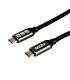 GIZZU 100W 10Gbps Type-C 2m Cable