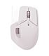 Rapoo M760L Wireless Multi-Mode Wireless Ergonomic Mouse Pink
