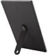 Asus ZenScreen MB169CK 16 Inch FHD Portable USB Monitor
