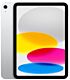 Apple 10.9 inch iPad Wi-Fi + 5G 256GB with A14 Bionic Chip - Silver