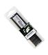 Patriot Signature Line 16GB DDR4 3200MHz Desktop Memory