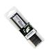 Patriot Signature Line 8GB DDR4 3200MHz Desktop Memory