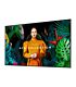 Samsung QM50C 50-inch LCD 4K Ultra HD Digital Signage Panel