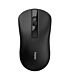 Rapoo B20 Silent Wireless Optical Mouse Black