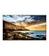 Samsung 85 inch Professional Display - 4K UHD