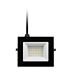Switched Classic 20W LED Flood Light Black