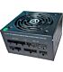 1000W PCIE 5.0 PSU