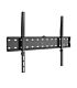 Winx Mount Simple TV Bracket