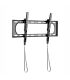 WINX MOUNT Max Tilt TV Bracket